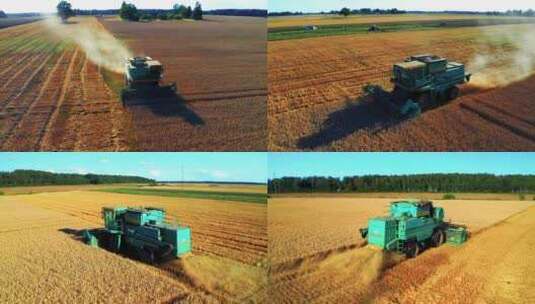 联合收割机在农田收获小麦高清在线视频素材下载