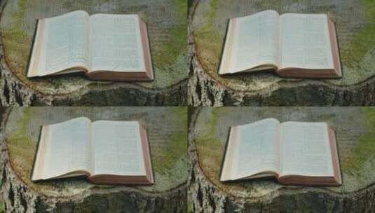 圣经印刷开放的神圣古籍宽老树桩自然背景高清在线视频素材下载