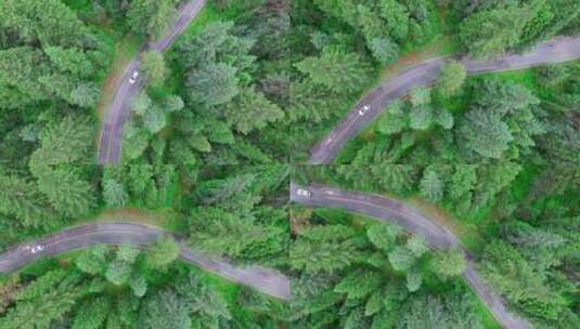 森林中的公路汽车航拍高清在线视频素材下载