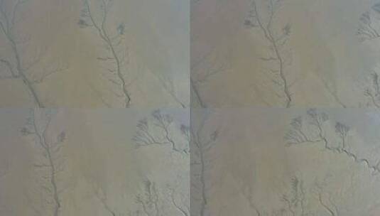 浙江省杭州市钱塘江钱江潮大地之树航拍高清在线视频素材下载