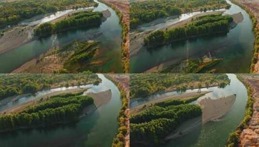 秋天的森林河流高清在线视频素材下载