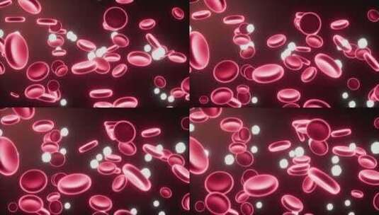 血管中的红细胞与白细胞动画高清在线视频素材下载