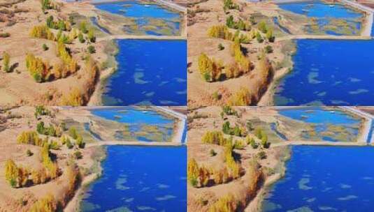 西北秋天湖水树木高清在线视频素材下载