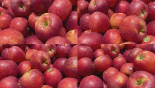 新鲜的红苹果高清在线视频素材下载