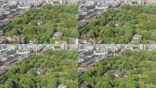 四川省 眉山市 眉州 三苏祠 苏东坡高清在线视频素材下载