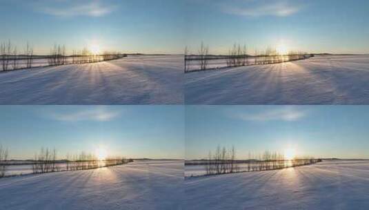 航拍东北垦区雪原风景高清在线视频素材下载