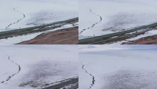 航拍青藏高原青海祁连山脉天境祁连雪山雪景高清在线视频素材下载