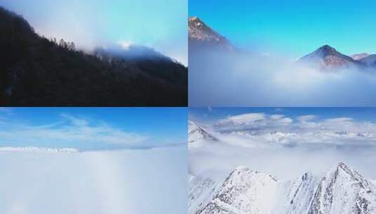 川西夹金山四姑娘山雪山云海航拍风光合集高清在线视频素材下载