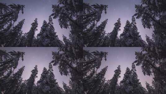 4k森林雪景极光夕阳晚霞雪松延时高清在线视频素材下载