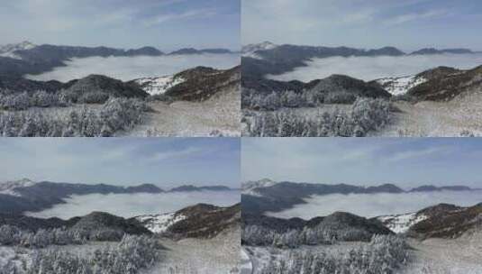 航拍湖北神农架风景区冬季雪山冰雪风光雪景高清在线视频素材下载