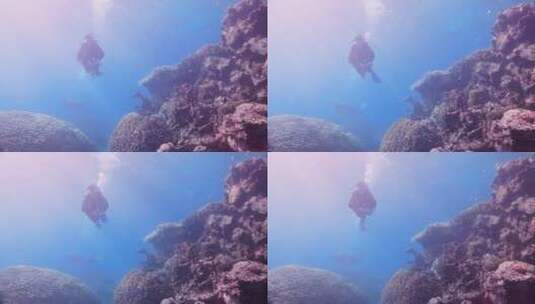女潜水员在海底潜水高清在线视频素材下载