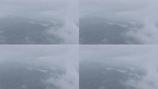 浓雾森林4K航拍高清在线视频素材下载