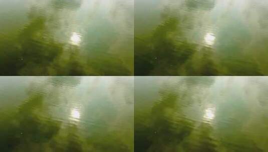 绿色的湖水反射着太阳高清在线视频素材下载