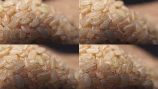 粗粮糙米健康纤维高清在线视频素材下载