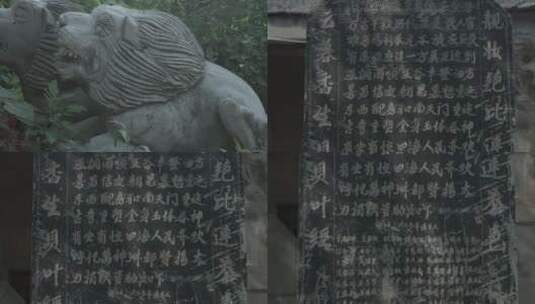 动物雕像和纪念碑高清在线视频素材下载