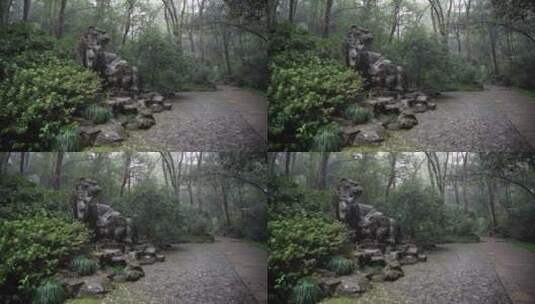杭州西湖景区虎跑公园森林氧吧高清在线视频素材下载