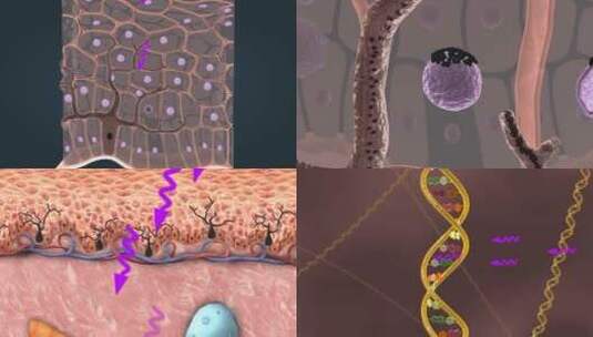医学皮肤细胞黑色素瘤皮肤修复三维动画高清在线视频素材下载
