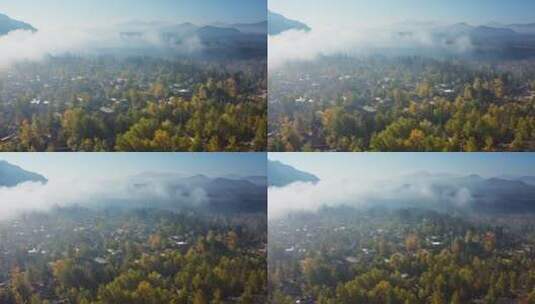 云雾中的银杏村高清在线视频素材下载