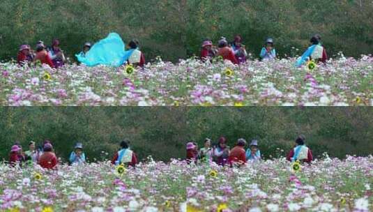 花丛里舞动丝巾用手机互相拍照的老年女性高清在线视频素材下载