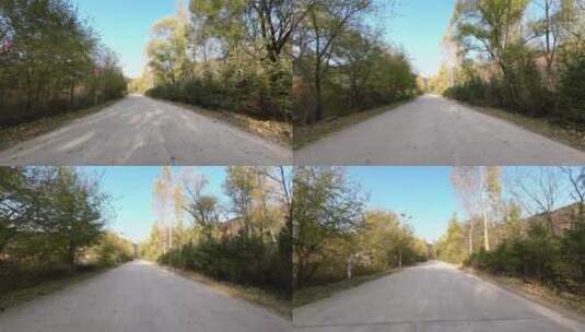 秋天城市道路开车第一视角  记录仪视角高清在线视频素材下载