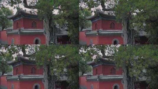 北京大觉寺禅院寺庙12高清在线视频素材下载