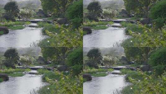 森林植物边田园小河流水风景高清在线视频素材下载