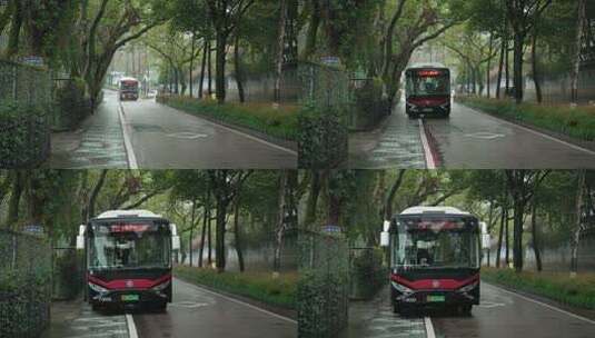 杭州云栖竹径春季清明节雨天古建筑自然唯美高清在线视频素材下载