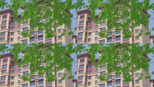 春天树木发芽长出嫩绿的树叶和远处的住宅楼高清在线视频素材下载