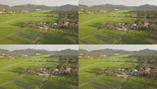 水田附近的马来村庄高清在线视频素材下载
