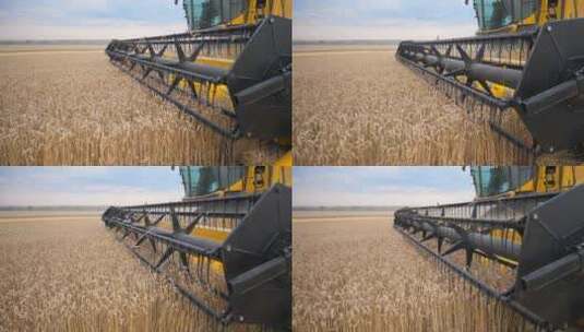 小麦收割机高清在线视频素材下载