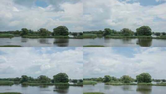 湿地河流辽河七星湿地树水草延时摄影高清在线视频素材下载