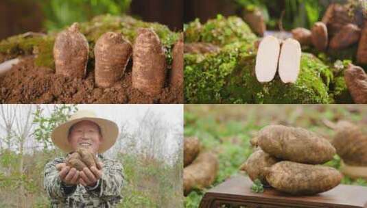 富硒新鲜天麻高清在线视频素材下载