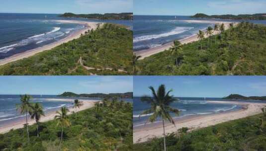 航拍海边沙滩上的树木绿植高清在线视频素材下载