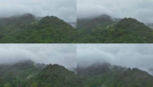 泰国普吉岛雨后的山和雾高清在线视频素材下载