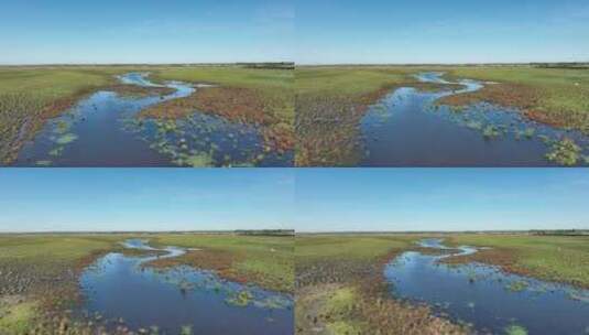 挠力河国家级自然保护区湿地航拍高清在线视频素材下载