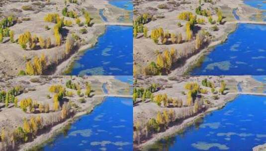 西北秋天湖水树木高清在线视频素材下载