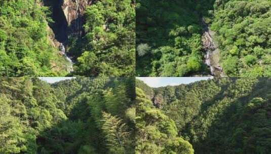 森林山涧瀑布河流大自然风景高清在线视频素材下载
