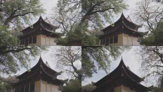 新昌大佛寺大雄宝殿高清在线视频素材下载