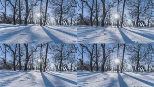 东北冬天吉林四方顶子枯树雪景光影高清在线视频素材下载