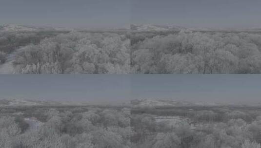 航拍牙克石森林雪景2高清在线视频素材下载
