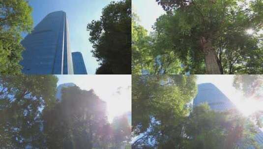 城市景色阳光穿过树叶空镜高清在线视频素材下载