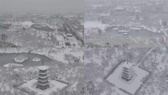武汉樱园雪景高清在线视频素材下载