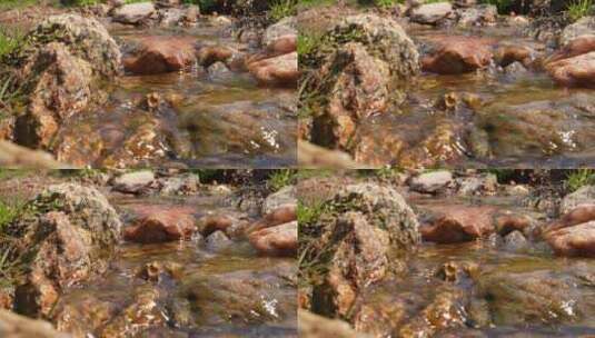 春天小河流水，清澈的石头高清在线视频素材下载