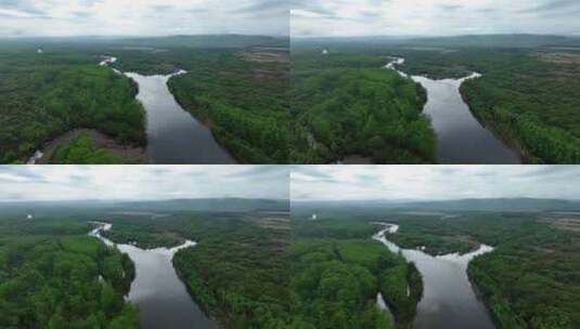 根河湿地自然风景小满时节高清在线视频素材下载