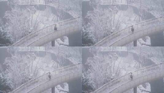成都龙泉山森林公园下雪高清在线视频素材下载