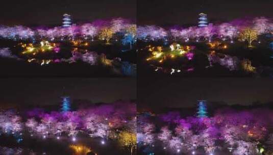 航拍武汉东湖樱花园夜景灯光秀樱花夜樱高清在线视频素材下载