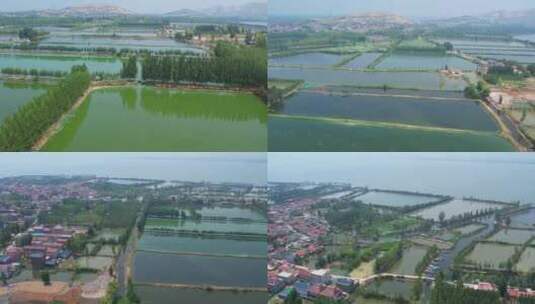 渔村 码头 渔船 夏天 生态高清在线视频素材下载