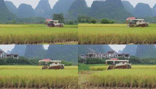 田园风光中使用收割机收割水稻的景象高清在线视频素材下载