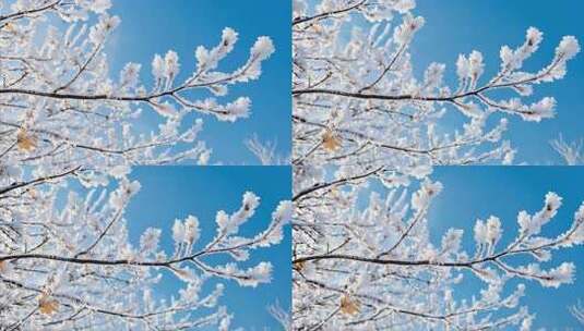 唯美冬季下雪四季变换视频背景高清在线视频素材下载