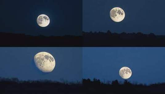 夜空下半月形月亮高悬的景象高清在线视频素材下载